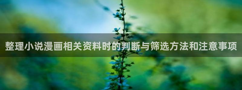 梦漫漫画客户端漫画大全:整理小说漫画相关资料时的判断与筛选方法和注意事项